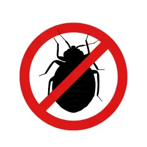 PUNAISE DE LIT BED BUGS DESINSECTISATION 3D 06 83